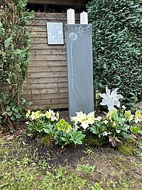 Grabstein mit zwei weißen Kerzen auf einem Grab mit gelben Blumen vor einer Holzwand und umgeben von grünen Büschen