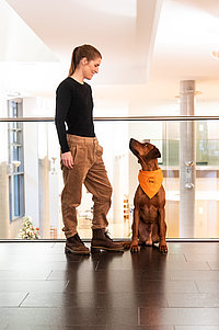 Frau in schwarzem Oberteil und brauner Hose steht neben sitzendem Hund mit orangefarbener Halstuch in modernem Innenraum